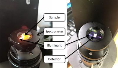 Effect of genetic distances of different genotypes of maize on the authenticity of single seeds detected by NIR spectroscopy